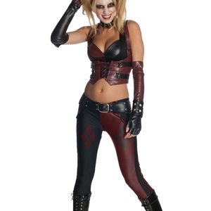 Harley Quinn Arkham Knight Costume